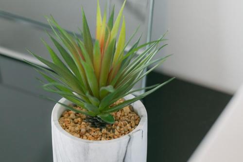 5C Guest House INFINITY 5C Guest House INFINITY