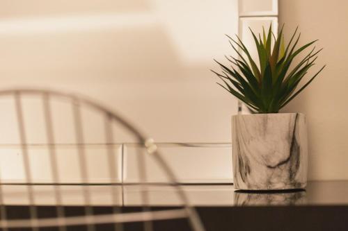 5C Guest House INFINITY 5C Guest House INFINITY