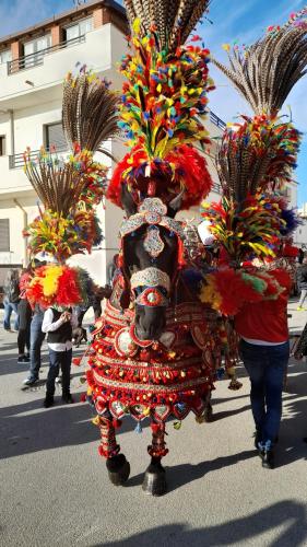 I Faraglioni - image 11