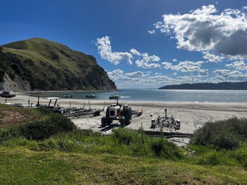 Strand, Spectacular beachfront holiday home in Mahia