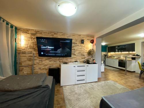 Apartments Peki Radovici in Milovici