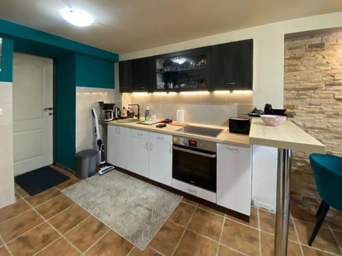 Apartments Peki Radovici in Milovici