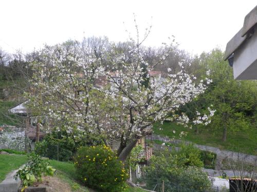 Casa Rural Higeralde