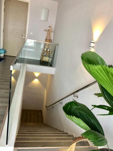 Icon Residenz Icon City, Petaling Jaya by De Harlequins Guesthouse Icon Residenz Icon City, Petaling Jaya by De Harlequins Guesthouse