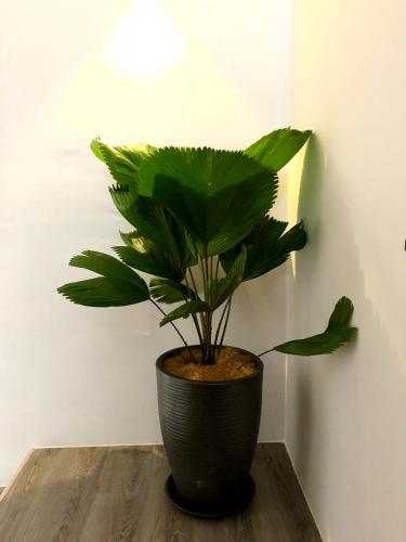 Icon Residenz Icon City, Petaling Jaya by De Harlequins Guesthouse Icon Residenz Icon City, Petaling Jaya by De Harlequins Guesthouse