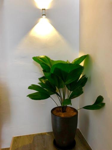 Icon Residenz Icon City, Petaling Jaya by De Harlequins Guesthouse Icon Residenz Icon City, Petaling Jaya by De Harlequins Guesthouse