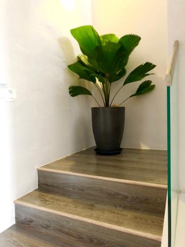 Icon Residenz Icon City, Petaling Jaya by De Harlequins Guesthouse Icon Residenz Icon City, Petaling Jaya by De Harlequins Guesthouse