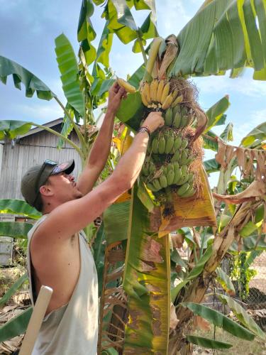 Dolphin Home Stay New in Kratie
