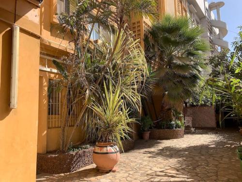 Petit appartement vintage - image 3