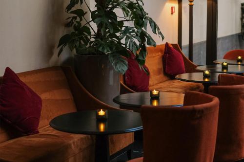 The Dominican, Brussels, a Member of Design Hotels, Bruxelles (photo 10)