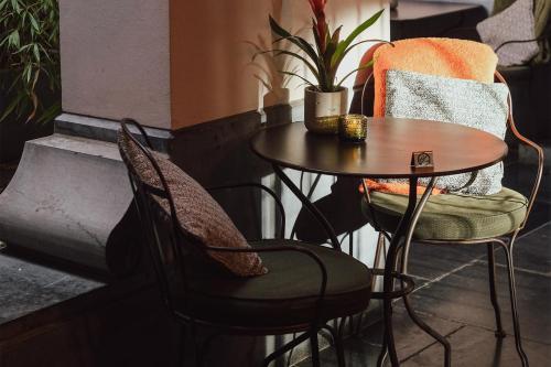 The Dominican - image 7