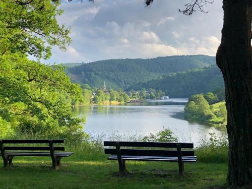 Urlaub in der Eifel direkt am Rursee - Seeblick, Simmerath (fotografie 11)