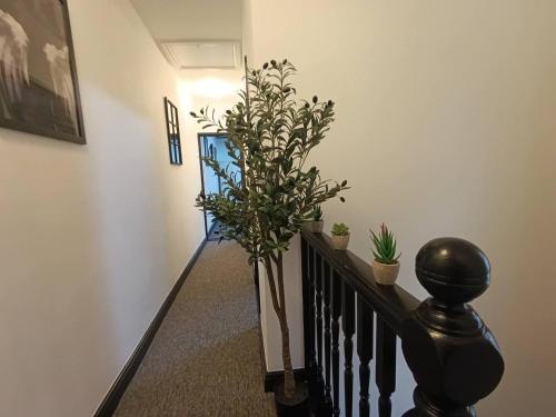 Apartment image 2