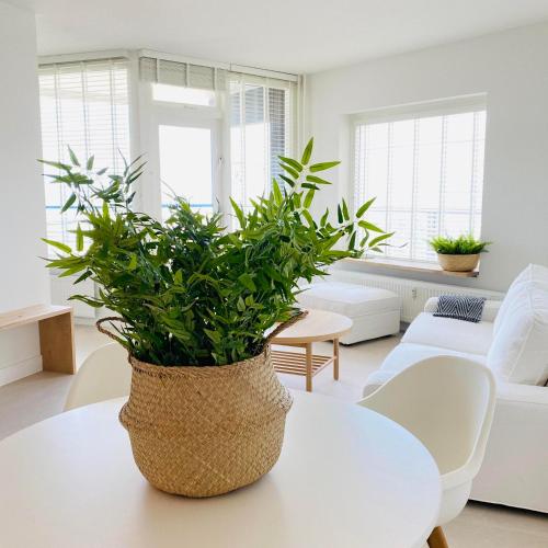 Sterflat 189 in Egmond aan Zee
