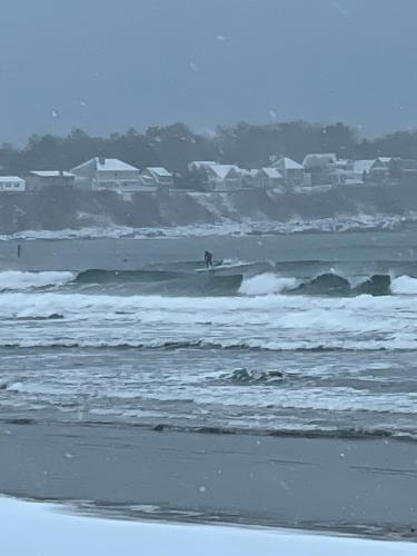 Groovy escape steps from the beach, a must sea! Groovy escape steps from the beach, a must sea!