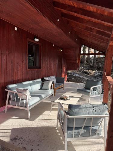 Mountain Mia Mountain Mia