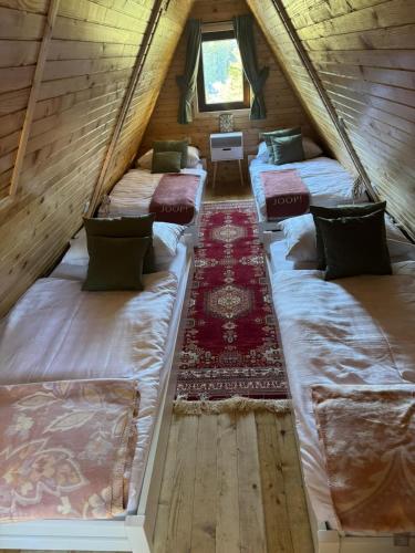 Mountain Mia Mountain Mia