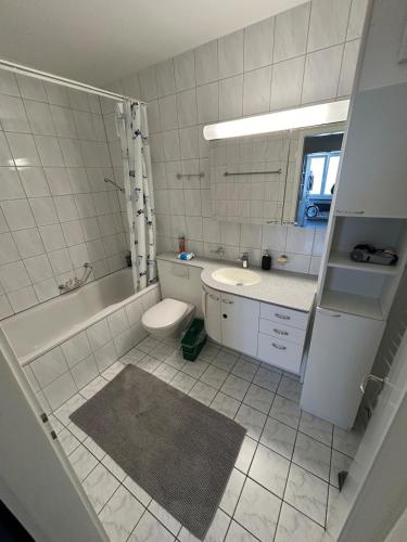 Modern apartment near StJakob, Bazylea (zdjęcie 9)