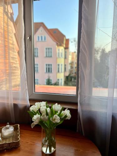 Villa Agapella 250m from the beach - Agapella Apartamemty 5