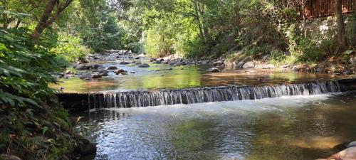 Cabana Iris Cabana Iris