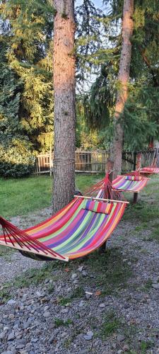 Cabana Iris Cabana Iris