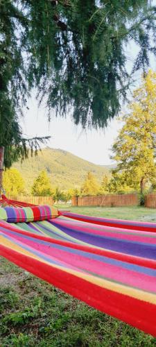 Cabana Iris Cabana Iris