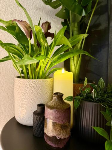 Schwebebahn View Apartment