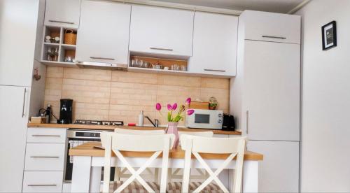 Carolina Apartments - Accommodation - Alba Iulia