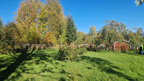 Garden, Gezellige warme villa in Lesjofors in Lesjöfors