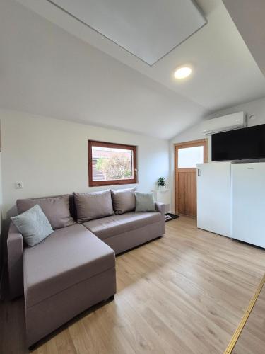 Terme Banovci - Pomurski raj, tickets included in บานอฟชี