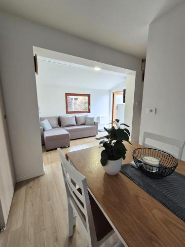 Terme Banovci - Pomurski raj, tickets included in บานอฟชี