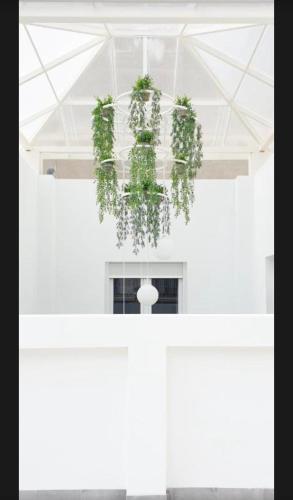 Studio image 8
