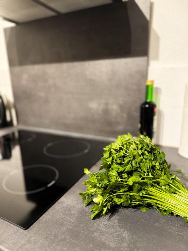 Konyha, Stadthäuschen in Kitzingen (Stadthauschen in Kitzingen) in Kitzingen