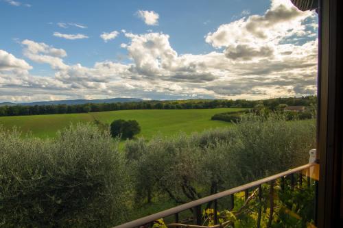 Kilátás, Agriturismo Il Caggio di Sotto in Colle di Val d' Elsa