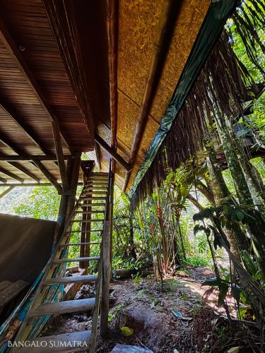 Sitio Simple Life - image 3