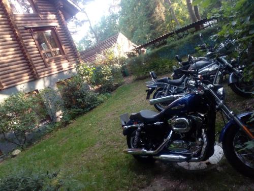 Holzhaus am See - image 7