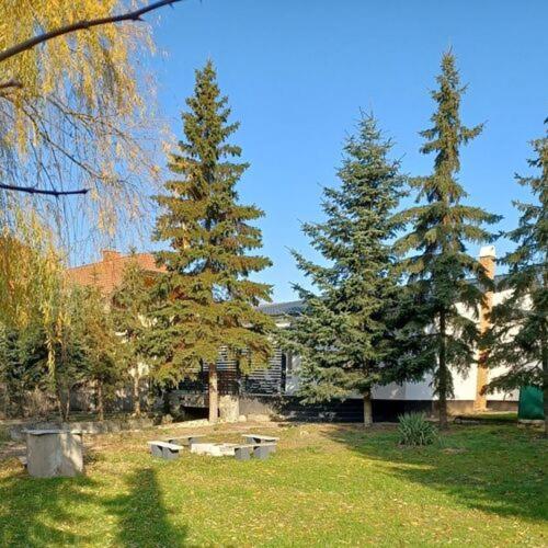 The Other House, Piliscsaba, Piliscsaba