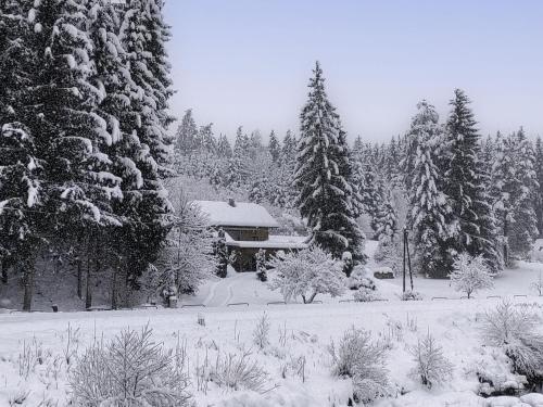 Holiday Home Reiter by Interhome in 貝格貝羅爾巴赫