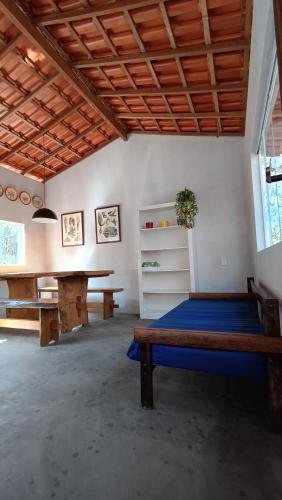 Sítio Caaporã, Palmeiras (photo 4)