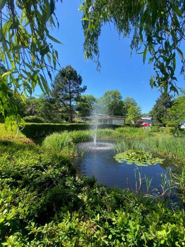 Hus op de Dun Hus op de Dun