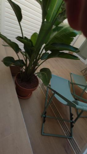 One-Bedroom Apartment with Terrace image 1