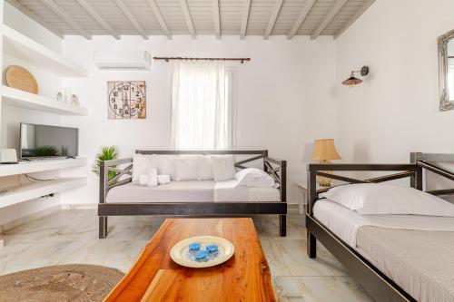Elenitas beach house in Ornos 5