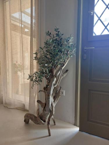 Horizon View in Arnados Horizon View in Arnados