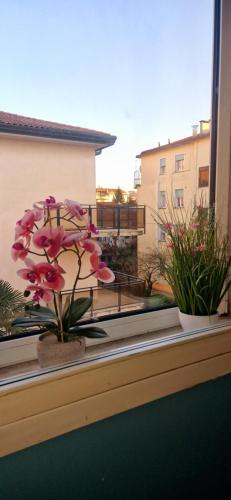 Hotel Da Tito - image 14