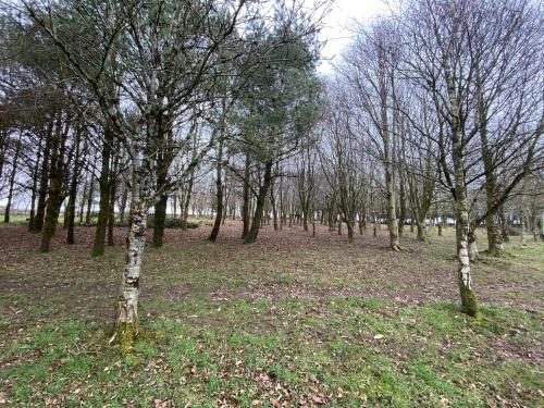 Oak Cottage Llandysul - main image