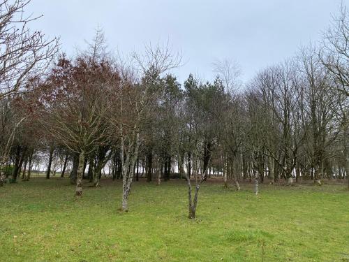 Oak Cottage Llandysul - image 12