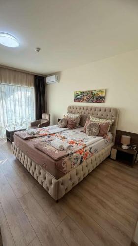 Sunshine Beach Studio