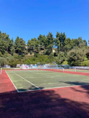 Villa ELANI Chalkidiki near to the sea Villa ELANI Chalkidiki near to the sea