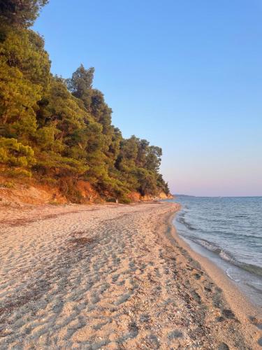 Villa ELANI Chalkidiki near to the sea Villa ELANI Chalkidiki near to the sea