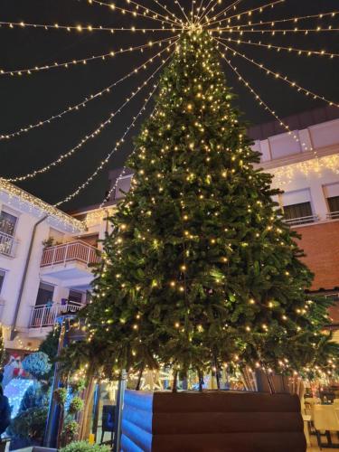 Belvarosi apartman in Gyongyos